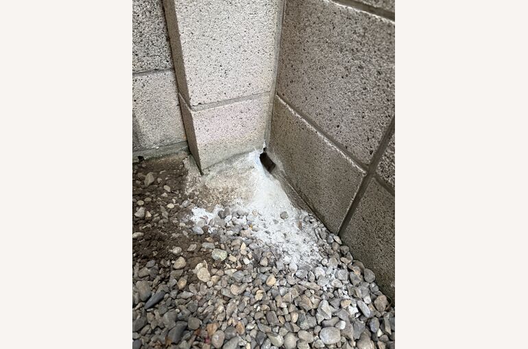 境界杭　1日目